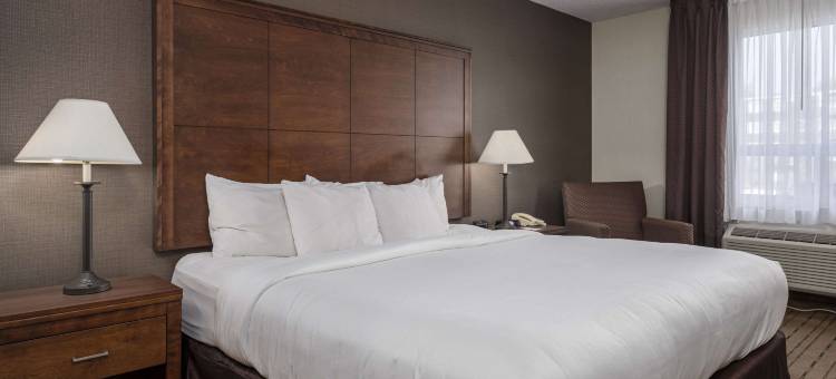 舒适酒店(Comfort Inn - Gander)图片