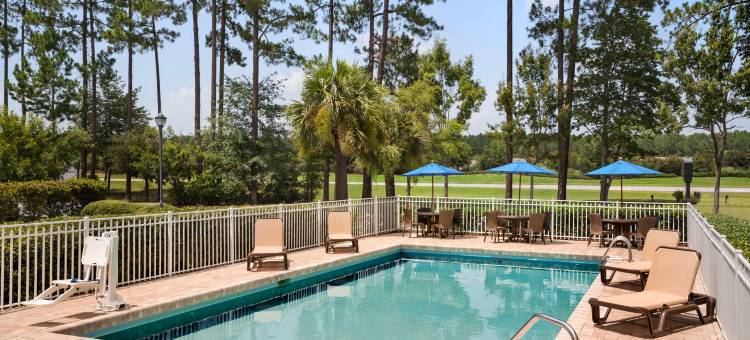 布拉夫顿太阳城欢朋套房酒店(Hampton Inn & Suites Bluffton-Sun City)图片