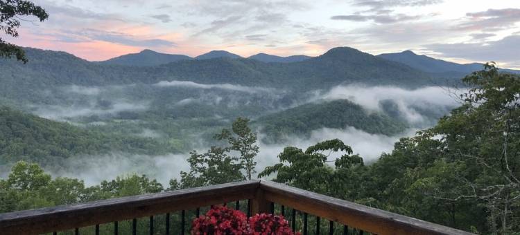 Gorgeous Mountain Views on 5 Acres图片