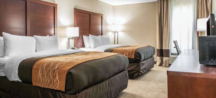 北布鲁艾施舒适酒店(Comfort Inn Blue Ash North)图片