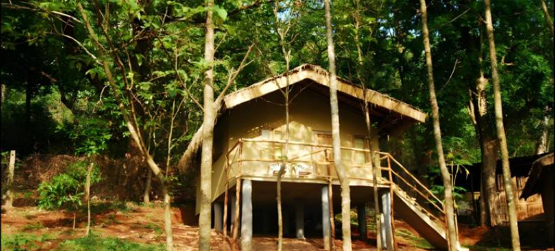 Old Magazine House - Jungle Lodges图片