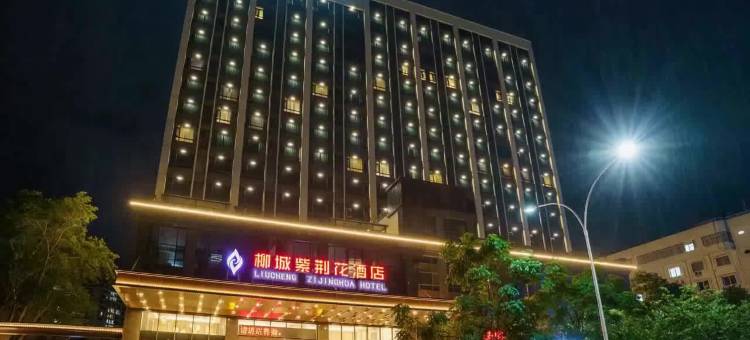 柳城紫荆花酒店图片