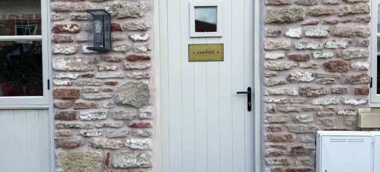 羊和企鹅(The Sheep and Penguin)图片