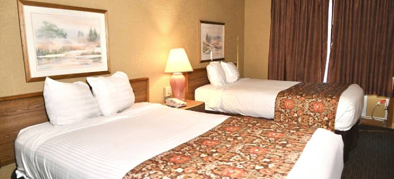 新港财富酒店及套房(Fortune Inn & Suites)图片