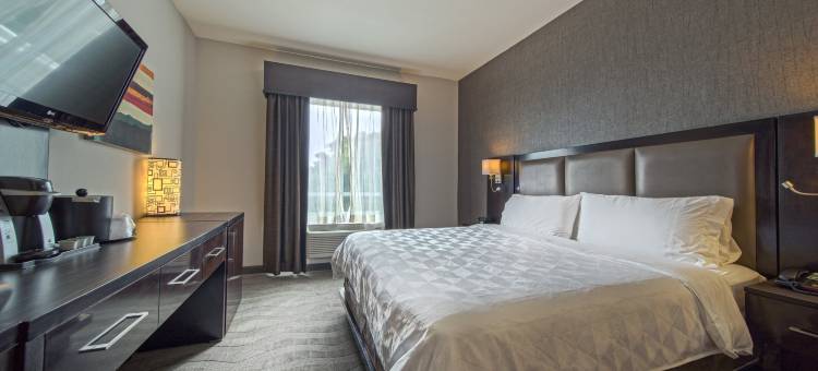 Holiday Inn & Suites 休斯顿西 - 西区高速路公园(Holiday Inn & Suites HOUSTON WEST - WESTWAY PARK by IHG)图片