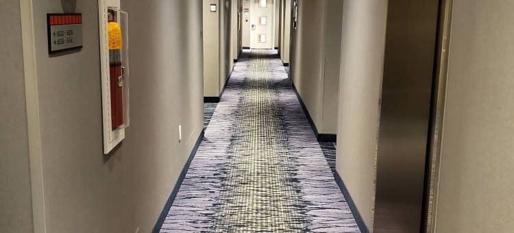 纽约布鲁克林万豪费尔菲尔德酒店及套房(Fairfield Inn & Suites New York Brooklyn)图片