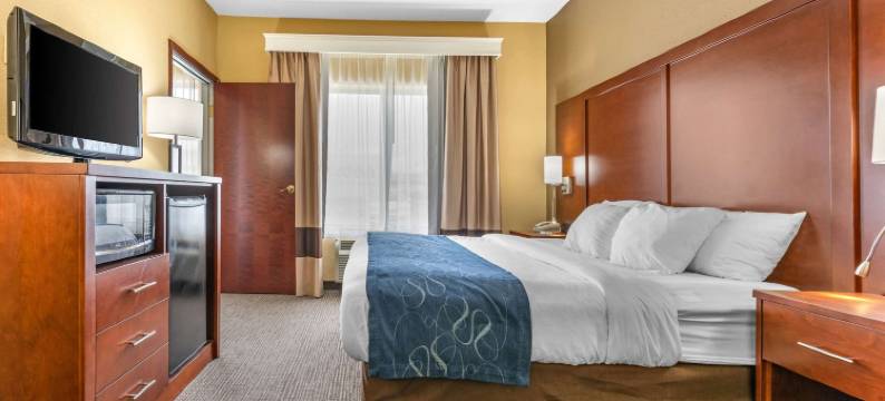 芬德利I-75舒适套房靠近体育综合体(Comfort Suites Findlay I-75 Near Sports Complex)图片