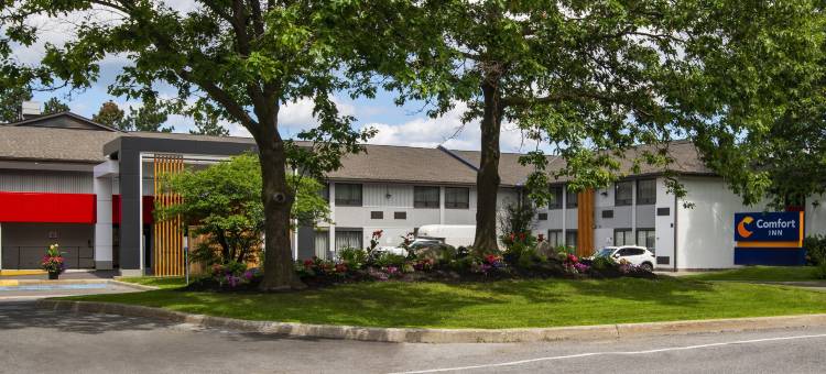 舒适酒店-西部(Comfort Inn West)图片