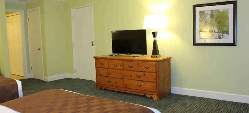 埃默里大学宾馆(The University Inn at Emory)图片