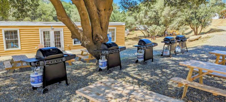 约塞米蒂野生天堂豪华露营(Wildhaven Yosemite Glamping)图片