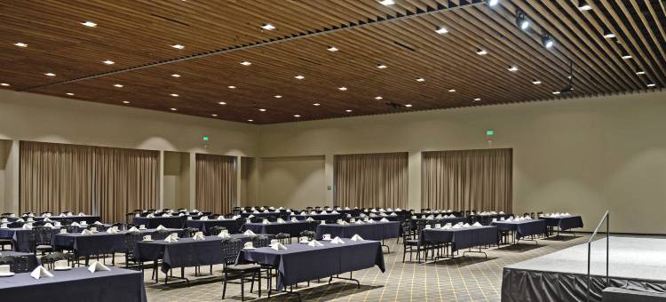 Holiday Inn 圣路易斯波托西 - 堂吉诃德(Holiday Inn San Luis Potosi-Quijote)图片