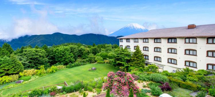 箱根绿色广场酒店(Hotel Green Plaza Hakone)图片
