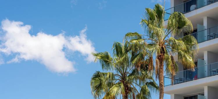 滨海套房酒店(Marina Suites Gran Canaria)图片