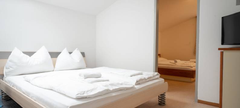 赛勒加斯公寓 - 我们出租酒店(Seilergasse Apartments by we Rent)图片