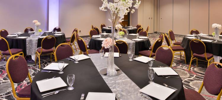 Holiday Inn 堪萨斯城机场(Holiday Inn Kansas City Airport)图片