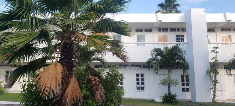 海贝棕榈(Sea Shell Palms, Ocho Rios)图片
