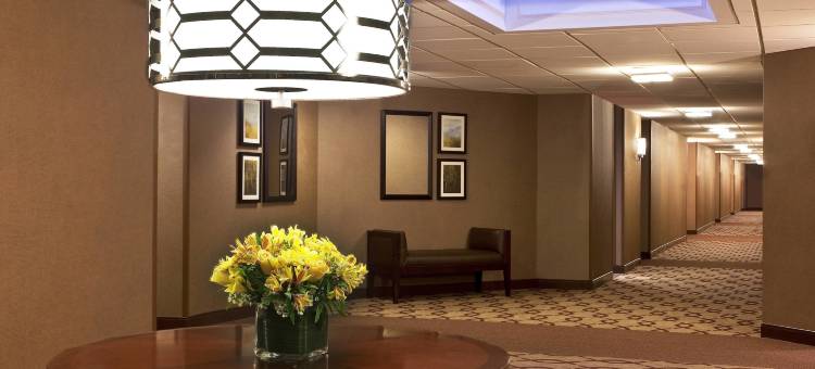 帕西帕尼喜来登酒店(Sheraton Parsippany Hotel)图片