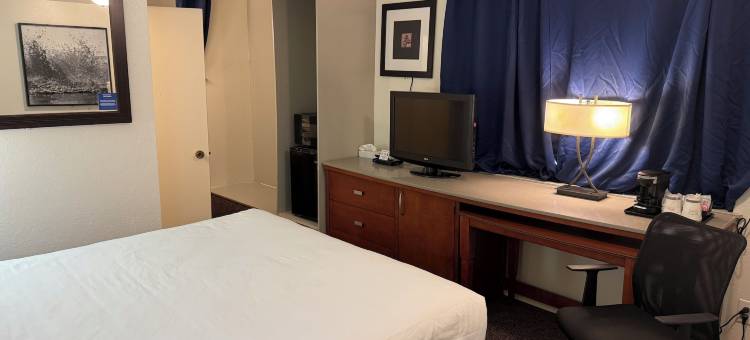 水滨湖畔酒店(Lakeshore Inn Water Front)图片