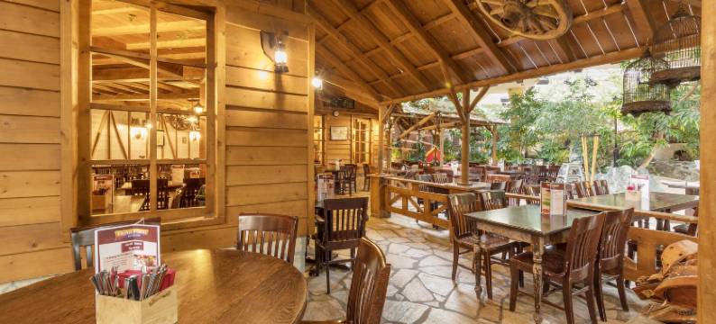 霍赫绍厄兰中心公园酒店(Hotel Hochsauerland by Center Parcs)图片