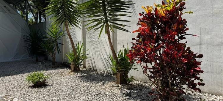 Amaj生态旅馆(Amaj Eco Lodge)图片