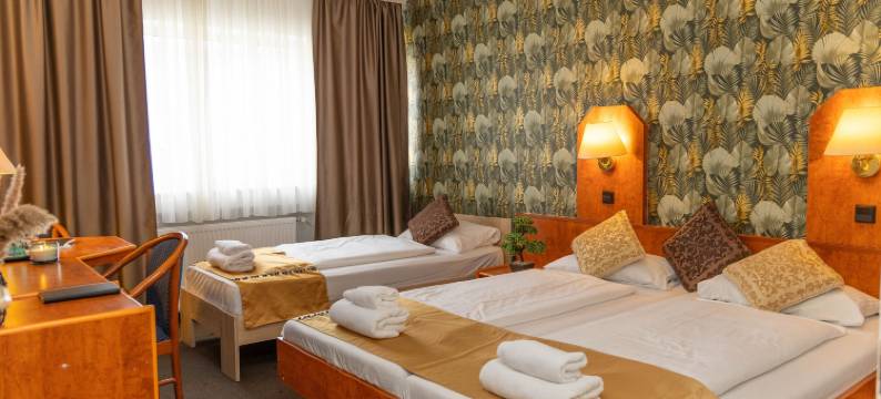 罗西娅酒店(Hotel Rossija)图片