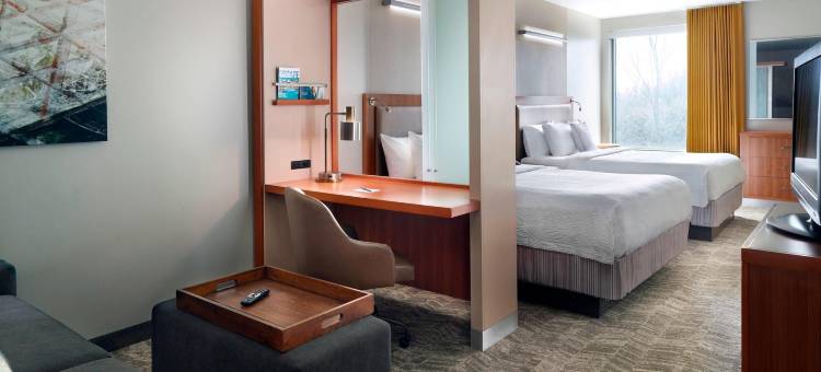 亚特兰大关口机场万豪SpringHill酒店(SpringHill Suites Atlanta Airport Gateway)图片