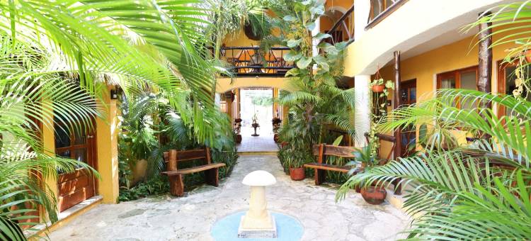 博斯克卡比尔第五大道酒店(Hotel Bosque Caribe, 5th Av. Zone)图片