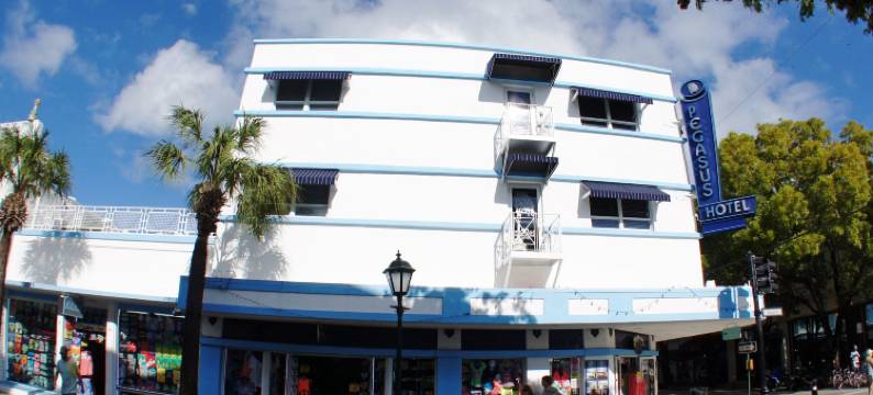 飞马国际酒店(Pegasus International Hotel)图片