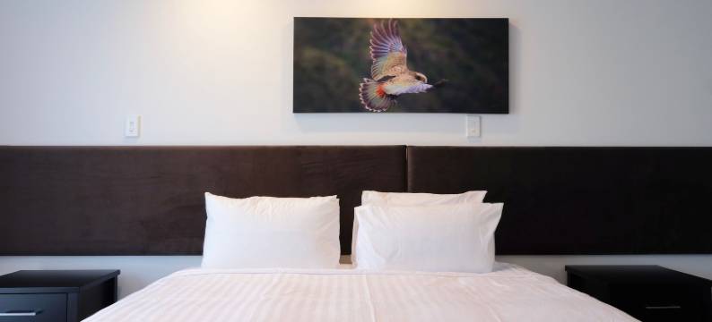 止步精品公寓酒店(Stopforths Premium Accommodation)图片