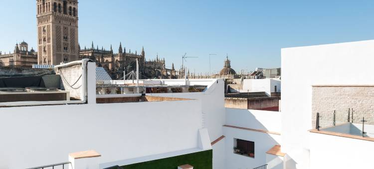 穆里略大教堂套房酒店(Suites Murillo Catedral)图片