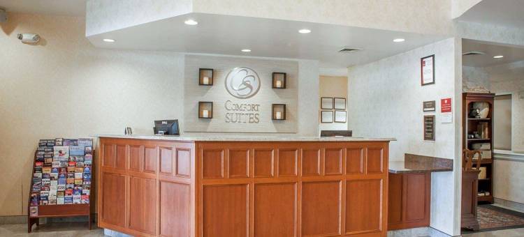 西沃里克 - 普罗维登斯舒适套房酒店(Comfort Suites West Warwick - Providence)图片