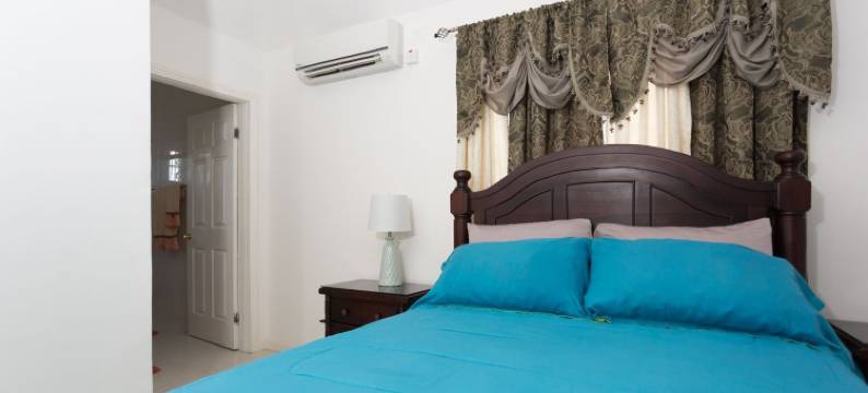 费尔威新金斯敦旅客公寓酒店(New Kingston Guest Apt at Fairway)图片