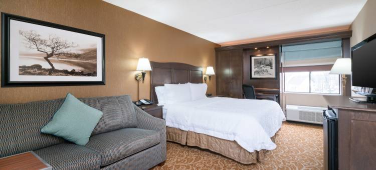 希尔顿欢朋酒店-唐宁敦埃克斯顿(Hampton Inn Downingtown/Exton)图片