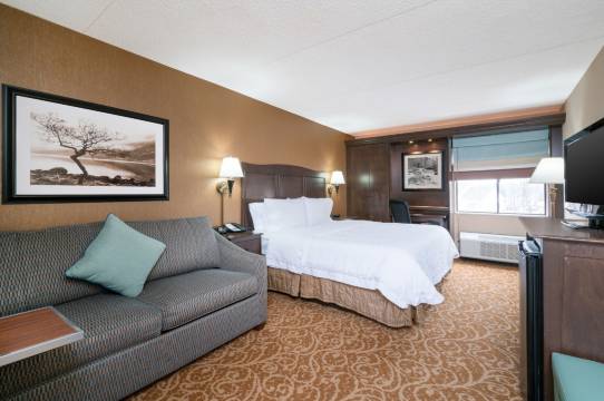 希尔顿欢朋酒店-唐宁敦埃克斯顿(Hampton Inn Downingtown/Exton)