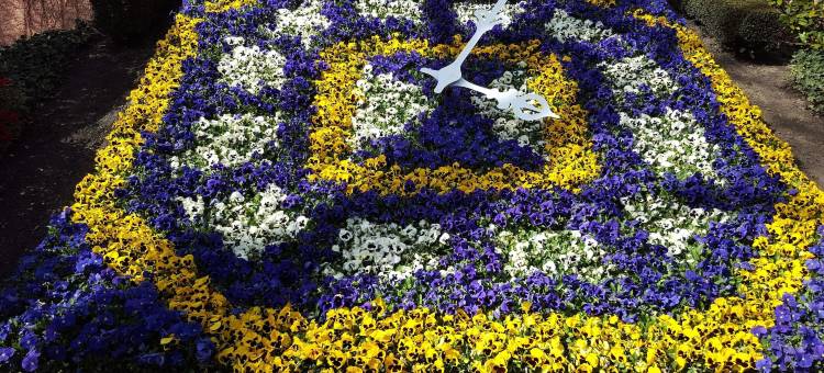 维贝尔霍夫酒店(Hotel Weberhof)图片