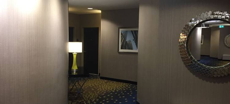 新斯科舍哈里法克斯霍里斯希尔顿逸林酒店(The Hollis Halifax - a DoubleTree Suites by Hilton)图片