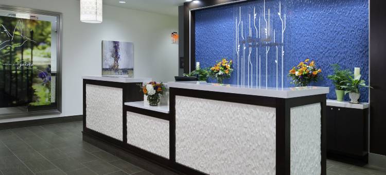 匹兹堡市中心希尔顿花园酒店(Hilton Garden Inn Pittsburgh Downtown)图片