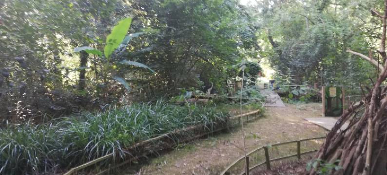 木偶磨坊酒店(Le Moulin des Marionnettes)图片