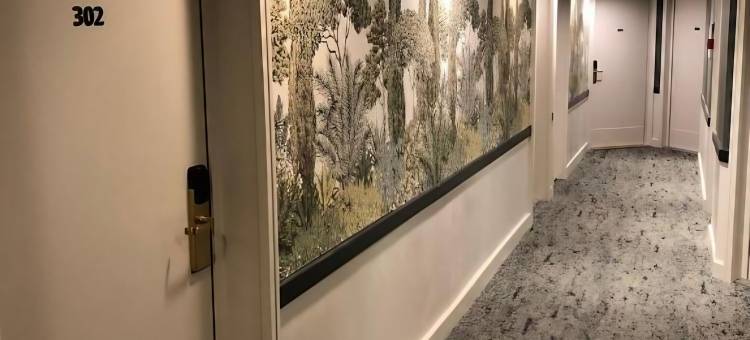 杜邦威尔逊贝斯特韦斯特酒店(Best Western Hotel du Pont Wilson)图片