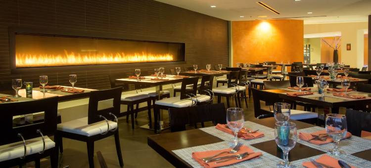 Hyatt棕榈泉酒店(Hyatt Palm Springs)图片