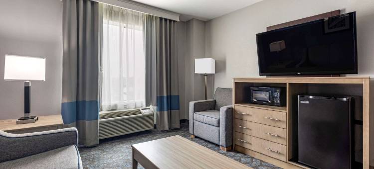 曼斯费尔德舒适套房酒店(Comfort Inn & Suites Mansfield)图片