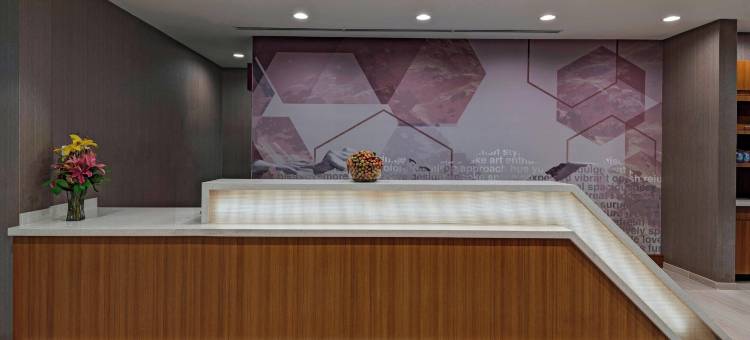 丹佛西金万豪SpringHill Suites酒店(SpringHill Suites Denver West/Golden)图片