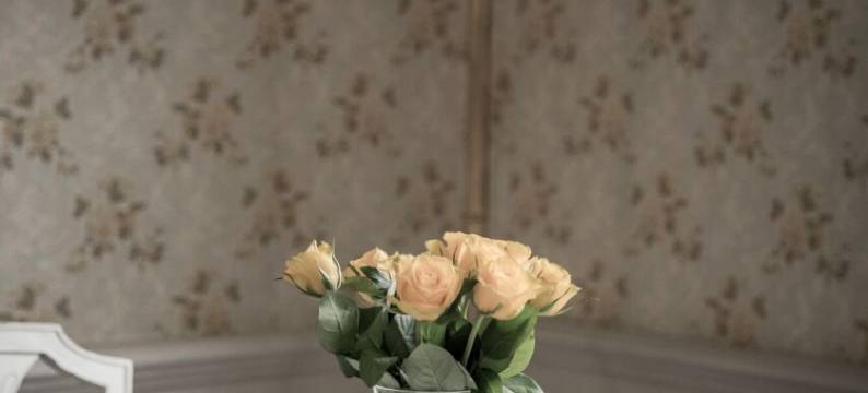 鲁德斯财产(Ruders Egendom)图片