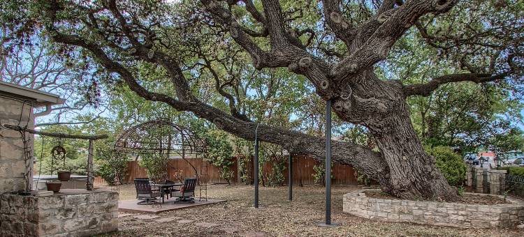 永恒之家(The Evers House)图片