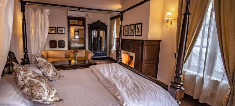 喜马拉雅酒店(The Himalayan)图片