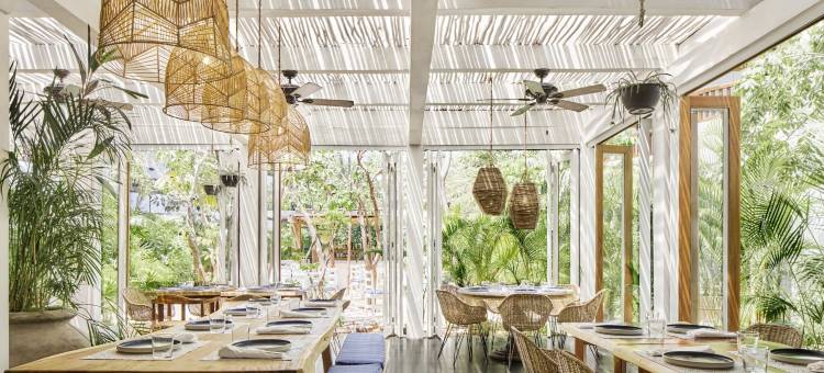 图兰阿鲁娜金普顿酒店(Kimpton Aluna Resort Tulum)图片