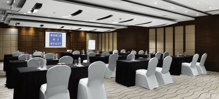 浦那Hyatt酒店(Hyatt Pune)图片