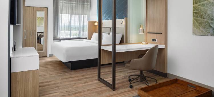 北罗阿诺万豪春丘酒店(SpringHill Suites Roanoke North)图片
