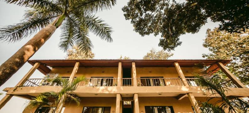 走进自然生态度假村(Into the Wild Eco Resort)图片