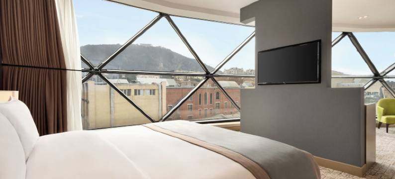 第比利斯温德姆至尊酒店(Wyndham Grand Tbilisi)图片